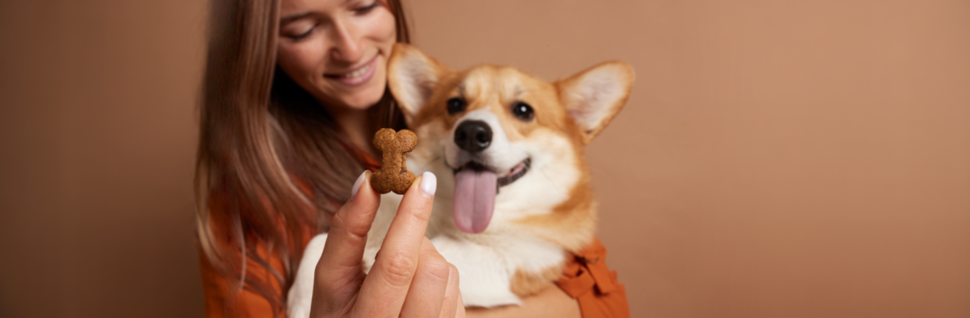HealthPET PRO